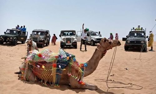 Osian Desert Safari Explore the golden dunes of Osian with our desert safari — adventure, sunsets, and the spirit of Rajasthan await.